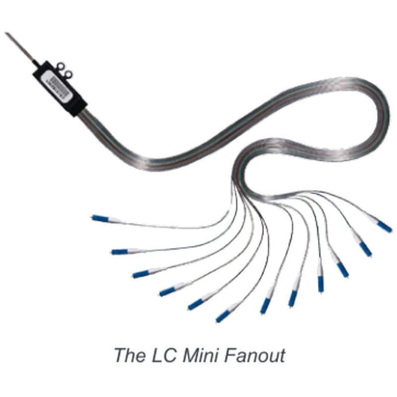 Lightera 301051553 - Fanout 4f Sm I/o Lcu-fc Stag/25 61m