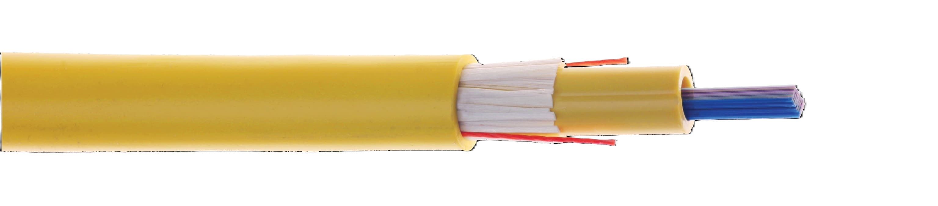 Prysmian FRPCDK12HB048E1 - *48F COLink RCLT Ind Plen Ribbon Cbl